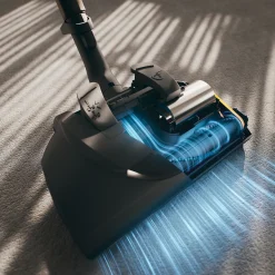 Miele Blizzard Cx1 Cat & Dog Powerline