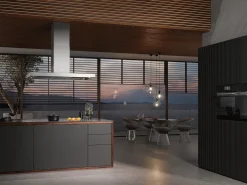 Miele Da 4248 Vd Puristische Varia