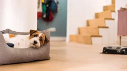 Miele Scout Rx3-Loper